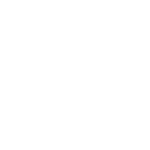 Lo radlfit herbys bikeservice icon ws